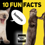 Top 10 Fun Facts You Might Want To Know